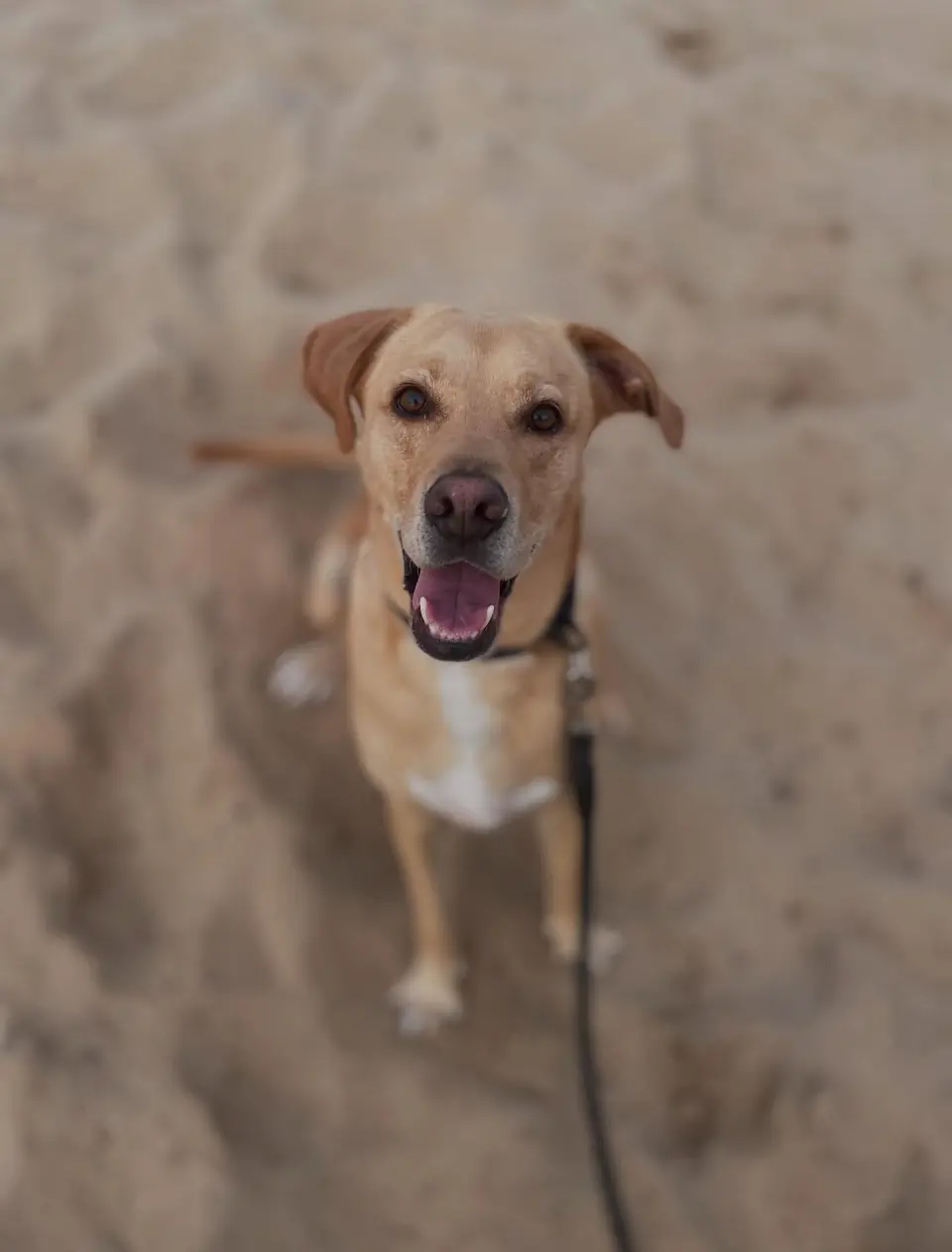 Passeio na praia